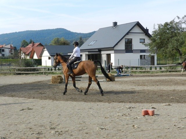 Babie Lato 2016